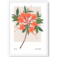ARTZE Orange Firecracker Plant Flower Market Simplicity Framed Print SIZE: A3 with White Frame | Size: A2