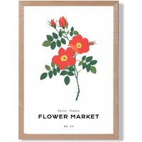 ARTZE Orange Cosmos Plant Flower Market Simplicity Framed Print SIZE: A2 with Oak Frame | Size: A4