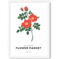 ARTZE Orange Cosmos Plant Flower Market Simplicity Framed Print SIZE: A2 with White Frame | Size: A3
