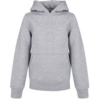 Build Your Brand Basic Hoodie in Grey | Size: 9-10 Years