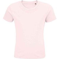 Pioneer T Shirt Pale Years