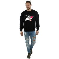 Sylvester Sweatshirt