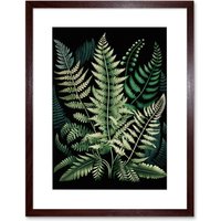 Artery8 Wall Art Print Different Fern Fronds Detailed Leaves Artwork Framed 9X7 Inch in Brown | Size: W7" x H9"