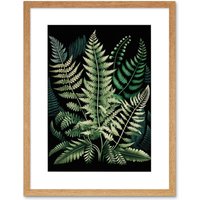 Artery8 Wall Art Print Different Fern Fronds Detailed Leaves Artwork Framed 9X7 Inch in Beige | Size: W7" x H9"