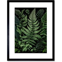 Artery8 Wall Art Print Fern Fronds Ernst Haeckel Style Artwork Framed 9X7 Inch in Black | Size: W7" x H9"