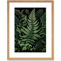 Artery8 Wall Art Print Fern Fronds Ernst Haeckel Style Artwork Framed 9X7 Inch in Beige | Size: W7" x H9"
