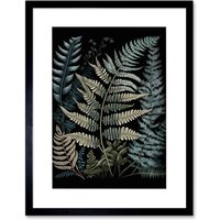 Artery8 Wall Art Print Fern Frond Species Detailed Botanical Artwork Framed 9X7 Inch in Black | Size: W7" x H9"