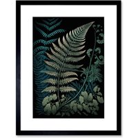 Artery8 Wall Art Print Detailed Fern Frond Species Botanical Artwork Framed 9X7 Inch in Black | Size: W7" x H9"