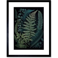 Artery8 Wall Art Print Leaf Fern Fronds Ernst Haeckel Style Artwork Framed 9X7 Inch in Black | Size: W7" x H9"