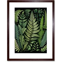 Artery8 Wall Art Print Ernst Haeckel Style Fern Fronds Leaf Artwork Framed 9X7 Inch in Brown | Size: W7" x H9"