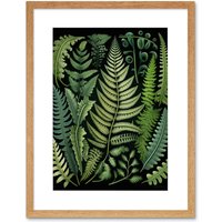 Artery8 Wall Art Print Ernst Haeckel Style Fern Fronds Leaf Artwork Framed 9X7 Inch in Beige | Size: W7" x H9"