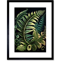 Artery8 Wall Art Print Fern Fronds Ernst Haeckel Style Leaf Artwork Framed 9X7 Inch in Black | Size: W7" x H9"