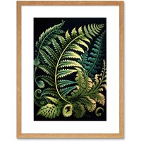 Artery8 Wall Art Print Fern Fronds Ernst Haeckel Style Leaf Artwork Framed 9X7 Inch in Beige | Size: W7" x H9"