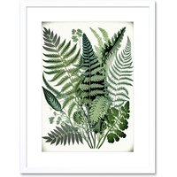 Artery8 Wall Art Print Haeckel Style Fern Fronds Watercolour Artwork Framed 9X7 Inch in White | Size: W7" x H9"