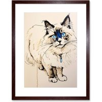 Artery8 Wall Art Print Blue Point Ragdoll Cat Sketch Drawing Portrait Artwork Framed 9X7 Inch in Brown | Size: W7" x H9"