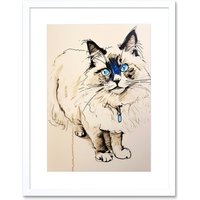 Artery8 Wall Art Print Blue Point Ragdoll Cat Sketch Drawing Portrait Artwork Framed 9X7 Inch in White | Size: W7" x H9"
