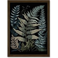 Artery8 Fern Frond Species Detailed Botanical Illustration Artwork Framed Wall Art Print A4 in Brown