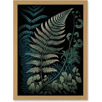 Artery8 Detailed Fern Frond Species Botanical Illustration Artwork Framed Wall Art Print A4 in Light Oak