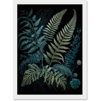 Artery8 Ernst Haeckel Style Leaf Illustration Fern Fronds Artwork Framed Wall Art Print A4 in White
