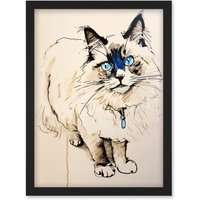 Artery8 Blue Point Ragdoll Cat Sketch Drawing Portrait Artwork Framed Wall Art Print A4 in Black