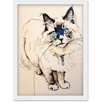 Artery8 Blue Point Ragdoll Cat Sketch Drawing Portrait Artwork Framed Wall Art Print A4 in White