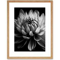Artery8 Wall Art Print Macro Close Up Dahlia Flower Black & White Photo Artwork Framed 9X7 Inch in Beige | Size: W7" x H9"