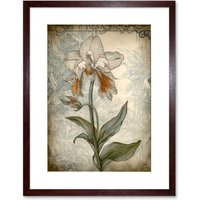 Artery8 Wall Art Print Single Orchid Flower Pastel Colour Art Nouveau Artwork Framed 9X7 Inch in Brown | Size: W7" x H9"