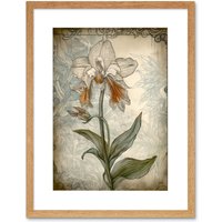 Artery8 Wall Art Print Single Orchid Flower Pastel Colour Art Nouveau Artwork Framed 9X7 Inch in Beige | Size: W7" x H9"