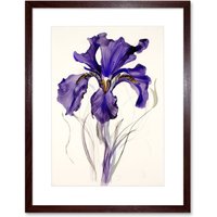 Artery8 Wall Art Print Iris Reticulata Watercolour Flower Bloom Drawing Artwork Framed 9X7 Inch in Brown | Size: W7" x H9"