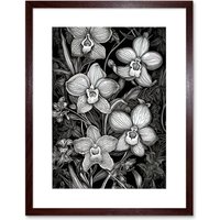 Artery8 Wall Art Print White on Black Blooming Orchid Flower Plants Artwork Framed 9X7 Inch in Brown | Size: W7" x H9"