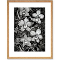 Artery8 Wall Art Print White on Black Blooming Orchid Flower Plants Artwork Framed 9X7 Inch in Beige | Size: W7" x H9"