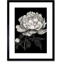 Artery8 Wall Art Print A Peony Flower Bloom Black & White Blind Contour Artwork Framed 9X7 Inch | Size: W7" x H9"