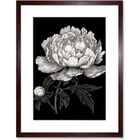 Artery8 Wall Art Print A Peony Flower Bloom Black & White Blind Contour Artwork Framed 9X7 Inch in Brown | Size: W7" x H9"