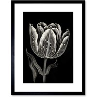 Artery8 Wall Art Print Tulip Flower White on Black Blind Contour Folk Artwork Framed 9X7 Inch | Size: W7" x H9"