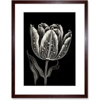 Artery8 Wall Art Print Tulip Flower White on Black Blind Contour Folk Artwork Framed 9X7 Inch in Brown | Size: W7" x H9"