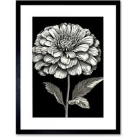 Artery8 Wall Art Print Zinnia Flower Bloom Black & White Artwork Framed 9X7 Inch | Size: W7" x H9"