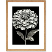 Artery8 Wall Art Print Zinnia Flower Bloom Black & White Artwork Framed 9X7 Inch in Beige | Size: W7" x H9"