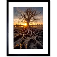 Artery8 Wall Art Print Sunset on Ancient Tree Atmospheric Photograph Large Roots Autumn Artwork Framed 9X7 Inch in Black | Size: W7" x H9"