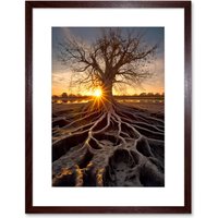 Artery8 Wall Art Print Sunset on Ancient Tree Atmospheric Photograph Large Roots Autumn Artwork Framed 9X7 Inch in Brown | Size: W7" x H9"