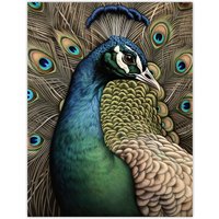 Artery8 Curious Peacock Detailed Pen & Ink Study Turquoise Modern Extra Large XL Wall Art Poster Print | Size: W24" x H32"