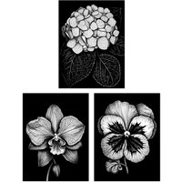 Artery8 Wall Art Print Set of 3 Elegant Single Hydrangea Orchid Pansy Flowers Floral Black White Striking Impact Artwork Living Room Poster s Pack