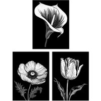 Artery8 Wall Art Print Set of 3 Elegant Single Tulip Anemone Calla Lily Flowers Floral Black White Striking Impact Artwork Living Room Poster s Pack