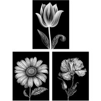Artery8 Wall Art Print Set of 3 Elegant Single Tulip Daisy Rose Spring Flowers Black & White Floral Impact Artworks Living Room Poster s Pack