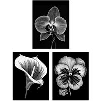 Artery8 Set of 3 Elegant Single Orchid Cala Lily Pansy Spring Flowers Black & White Floral Impact Artworks Unframed Wall Art Living Room Poster