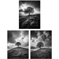Artery8 Wall Art Print Set of 3 Lone Tree on a Hill Black & White Photographs Countryside Field Landscape Living Room Poster s Pack in Grey | Size: A4