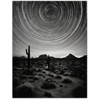 Artery8 The Milky Way Time Lapse Star Trails Stars Tracing Their Journey Across Black White Cactus Extra Large XL Unframed Wall Art Poster Print