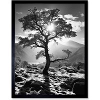 Artery8 Wall Art Print Frozen Tree Outline in Mountain Forest Landscape Covered in Snow Black & White Photograph Winter Sunshine Art Framed