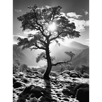 Artery8 Wall Art Print Frozen Tree Outline in Mountain Forest Landscape Covered in Snow Black & White Photograph Winter Sunshine Poster
