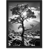 Artery8 Wall Art Print Frozen Tree Outline in Mountain Forest Landscape Covered in Snow Black & White Photograph Winter Sunshine Artwork Framed A4