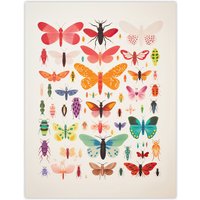 Artery8 Wall Art Print Insects & Bugs Bright Colourful Poster Picture | Size: W18" x H24"